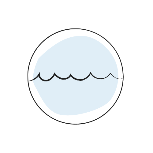 WeSea Terry Collection